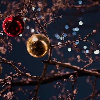 Christmas lights iPhone wallpaper