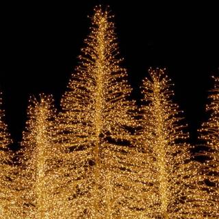 Christmas lights iPhone wallpaper