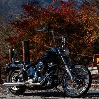 Motorcycle autumn wallpaper