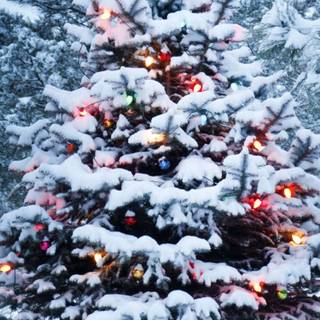 Christmas and snow wallpaper