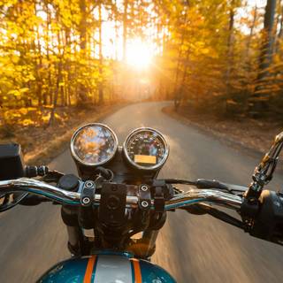 Motorcycle autumn wallpaper