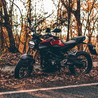 Motorcycle autumn wallpaper