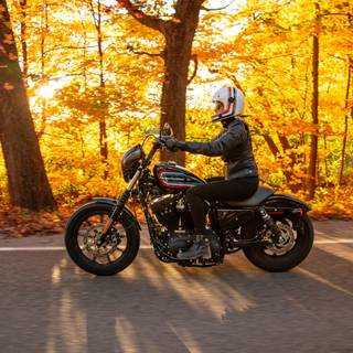 Motorcycle autumn wallpaper