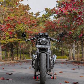 Motorcycle autumn wallpaper