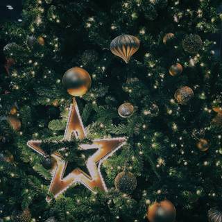 Christmas lights iPhone wallpaper