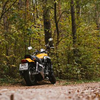 Motorcycle autumn wallpaper