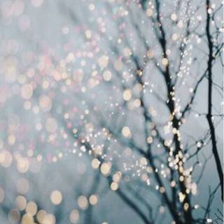 Christmas lights iPhone wallpaper