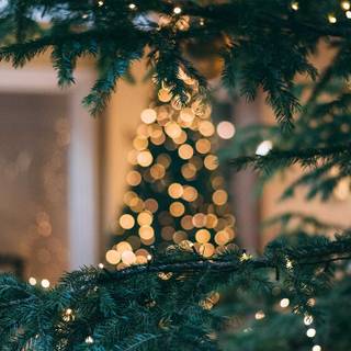 Christmas lights iPhone wallpaper