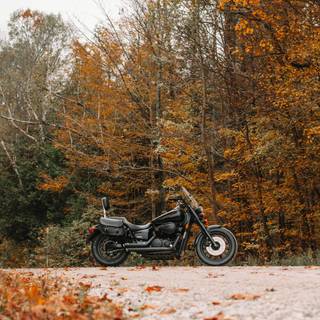 Motorcycle autumn wallpaper