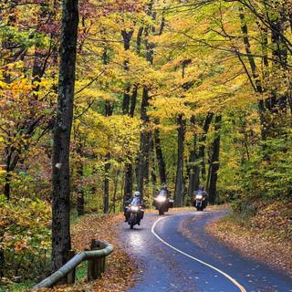 Motorcycle autumn wallpaper
