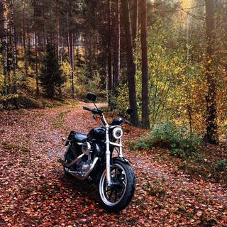 Motorcycle autumn wallpaper