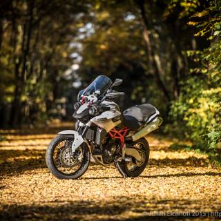 Motorcycle autumn wallpaper