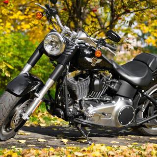 Motorcycle autumn wallpaper
