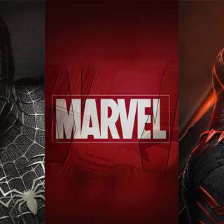 Marvel Multiverse wallpaper