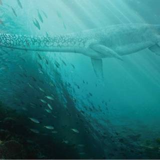 Ocean monsters wallpaper