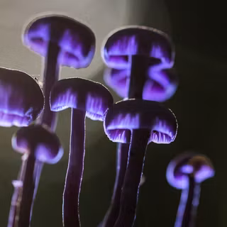 Magic 4k iPhone wallpaper