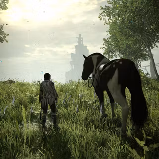 Shadow of The Colossus phone 4k wallpaper