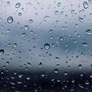 Rain drops 4k wallpaper