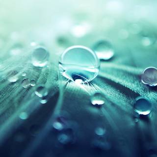 Rain drops 4k wallpaper