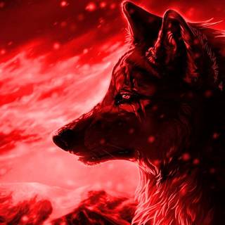 Nature wolf wallpaper