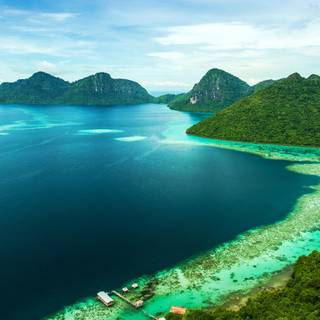 iPhone tropical wallpaper