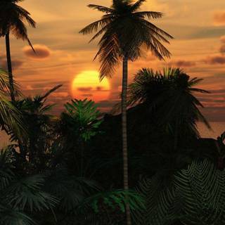 iPhone tropical wallpaper