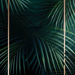 iPhone tropical wallpaper