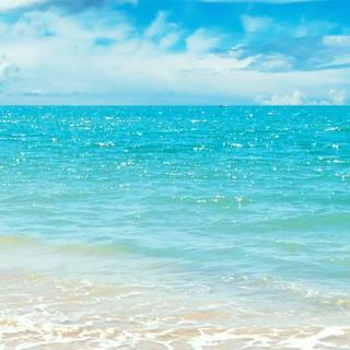 iPhone tropical wallpaper