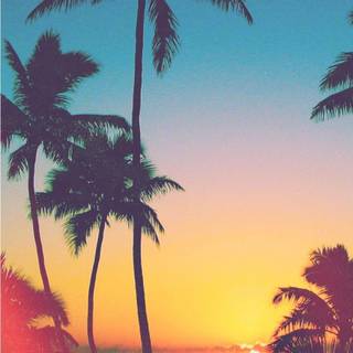iPhone tropical wallpaper