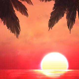 iPhone tropical wallpaper