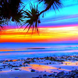 iPhone tropical wallpaper