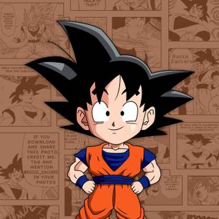 Dragon Ball iPhone 11 wallpaper