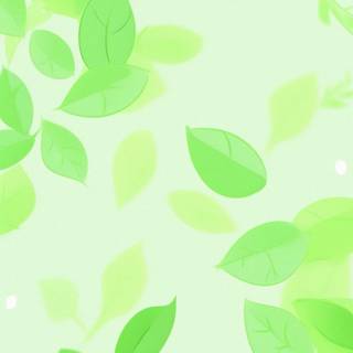 Light green iPhone wallpaper