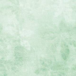 Light green iPhone wallpaper