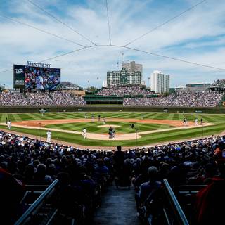 Chicago Cubs iPhone wallpaper