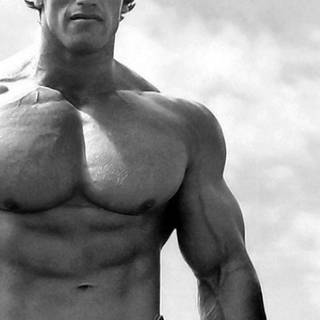 Arnold Schwarzenegger HD phone wallpaper