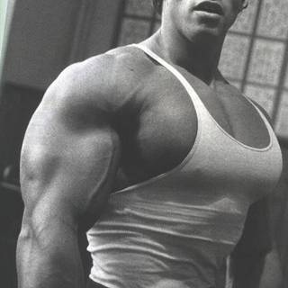 Arnold Schwarzenegger HD phone wallpaper