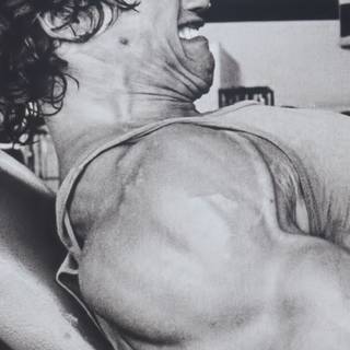 Arnold Schwarzenegger HD phone wallpaper