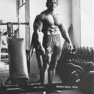 Arnold Schwarzenegger HD phone wallpaper