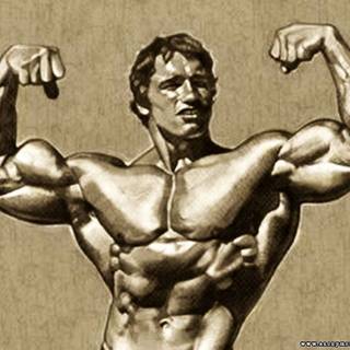 Arnold Schwarzenegger bodybuilding wallpaper