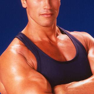 Arnold Schwarzenegger HD phone wallpaper