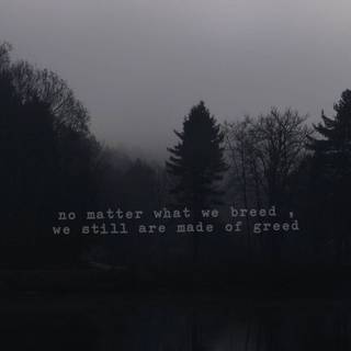 Imagine Dragons phone wallpaper