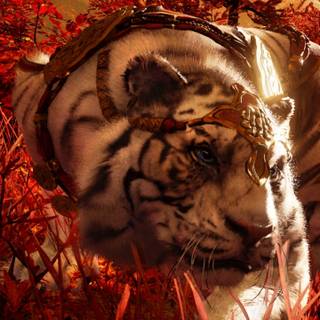 Far Cry iPhone wallpaper