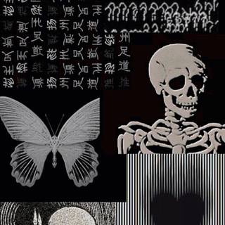 Paranoid aesthetic wallpaper