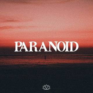 Paranoid aesthetic wallpaper