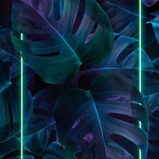 Green purple and blue aesthetic wallpaper