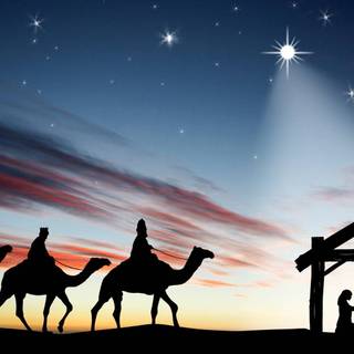 Star of Bethlehem wallpaper