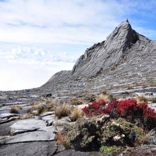 Mount Kinabalu wallpaper