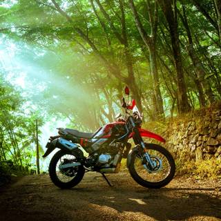 Xpulse 200 4v wallpaper