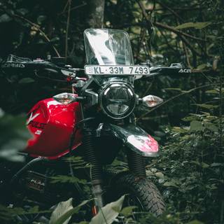 Xpulse 200 4v wallpaper